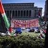 واشنطن تكشف موقف بايدن من الاحتجاجات المؤيدة لفلسطين